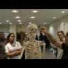 skeletal system. simple demonstration